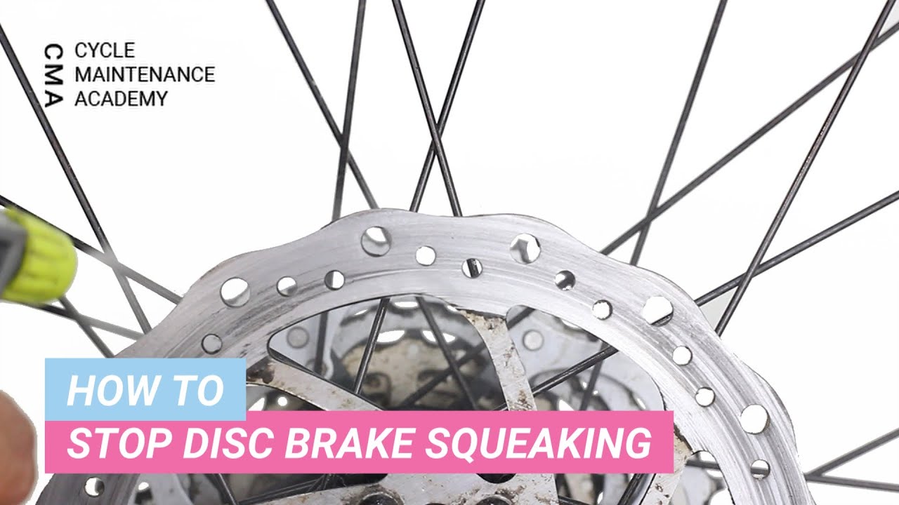 how to fix squeaky disc brakes on bike