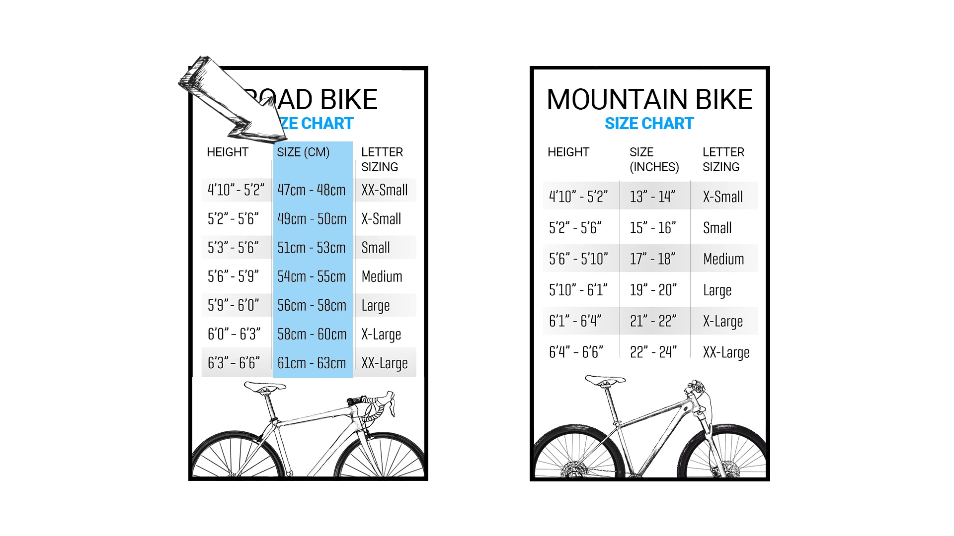 48cm bike size