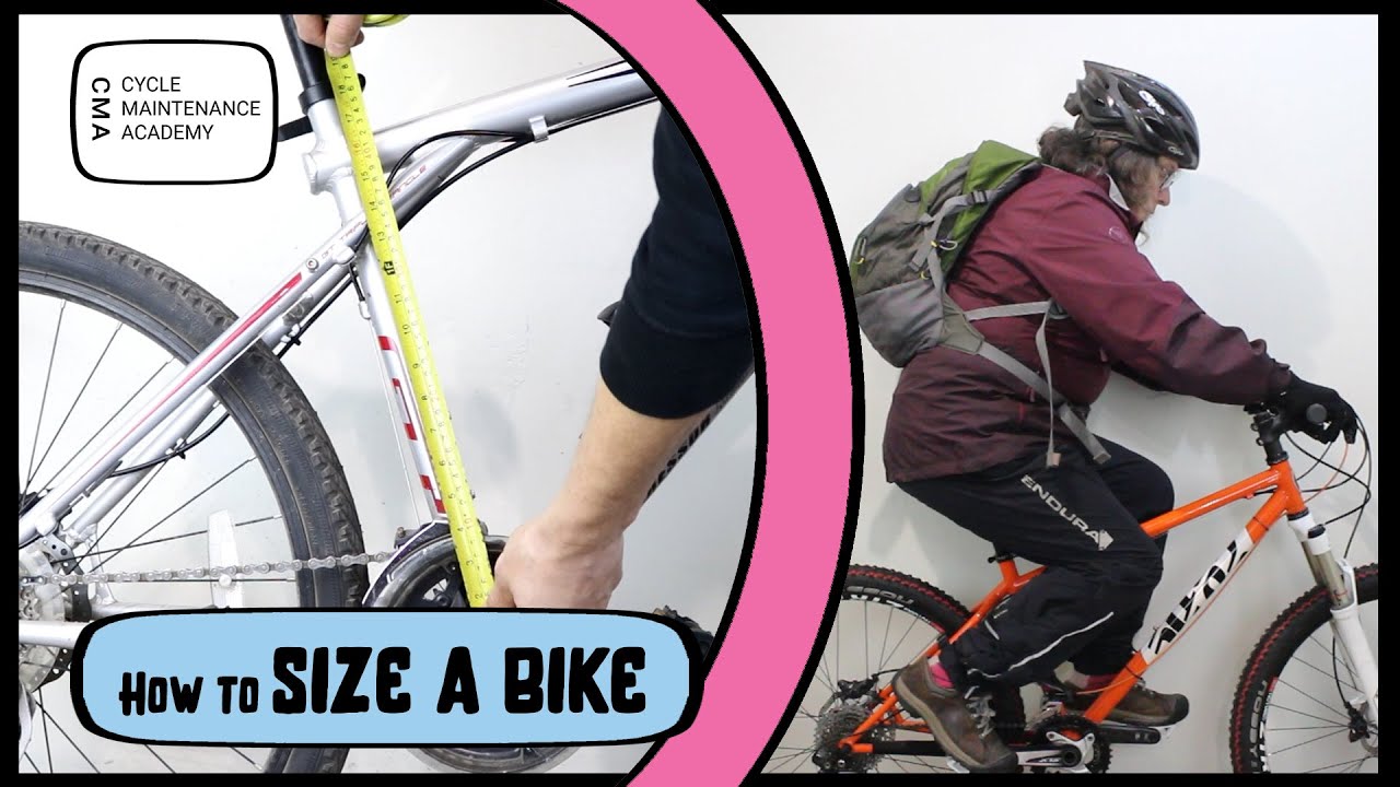Academy hybrid top bikes